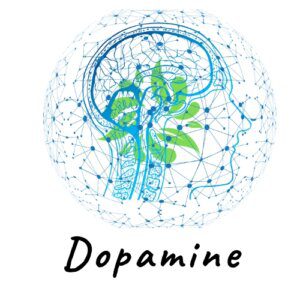low dopamine morning routine
